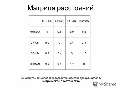 Матрица расстояний