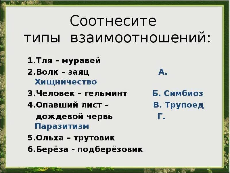 Соотнесите виды. Заяц и береза Тип взаимоотношений. Волк и заяц Тип взаимоотношений. Соотнесите Тип взаимоотношений. Заяц и червь Тип взаимоотношений.