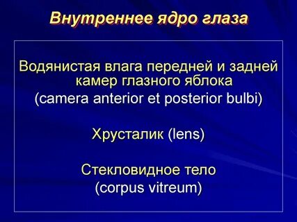 Водянистая влага глаза функции
