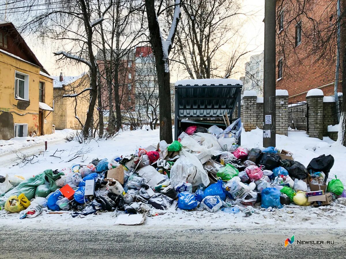 Помойка слово. Елка на помойке.