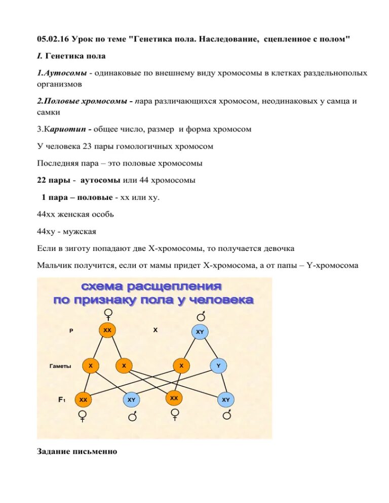 Генетика пола и наследование. Генетика пола схема. Генетика пола и наследование сцепленное с полом. Генетика ЕГЭ биология. Темы по генетике.