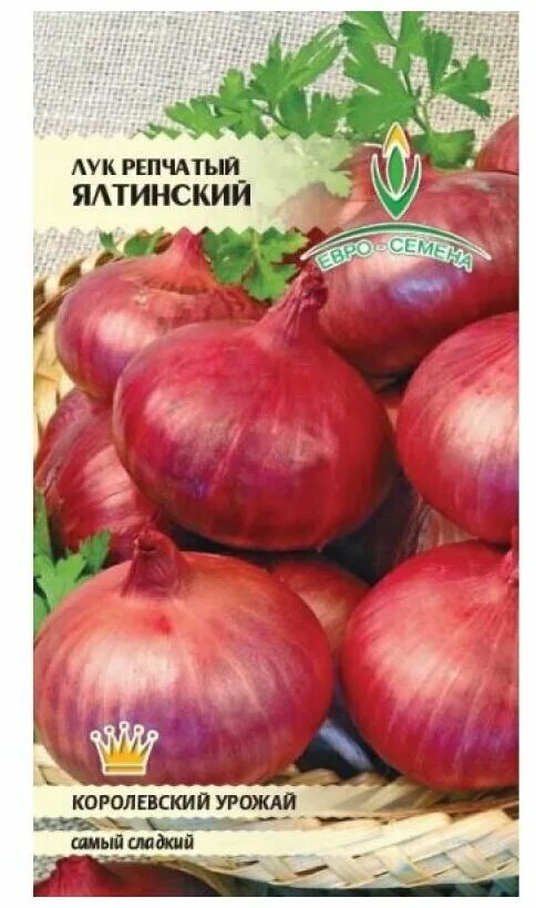 лук ялтинский красный выращивание из семян