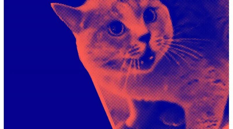 The kiffness feat. Видео где парень поет с котом. Alugalug cat. Кот-музыкант. The kiffness cat jams.