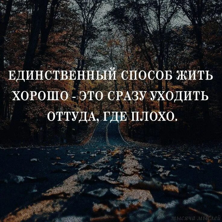 Жить можно плохо. Интересные цитаты. Хорошие высказывания. Уходя цитаты. Красивые афоризмы.