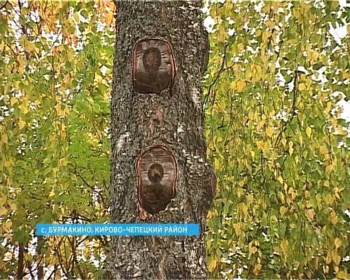 Висит на березки