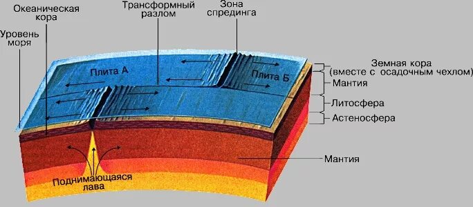 Слои литосферных плит. 4 Слоя земной коры. Схема развития земной коры. Литосфера состоит из расплавленного вещества