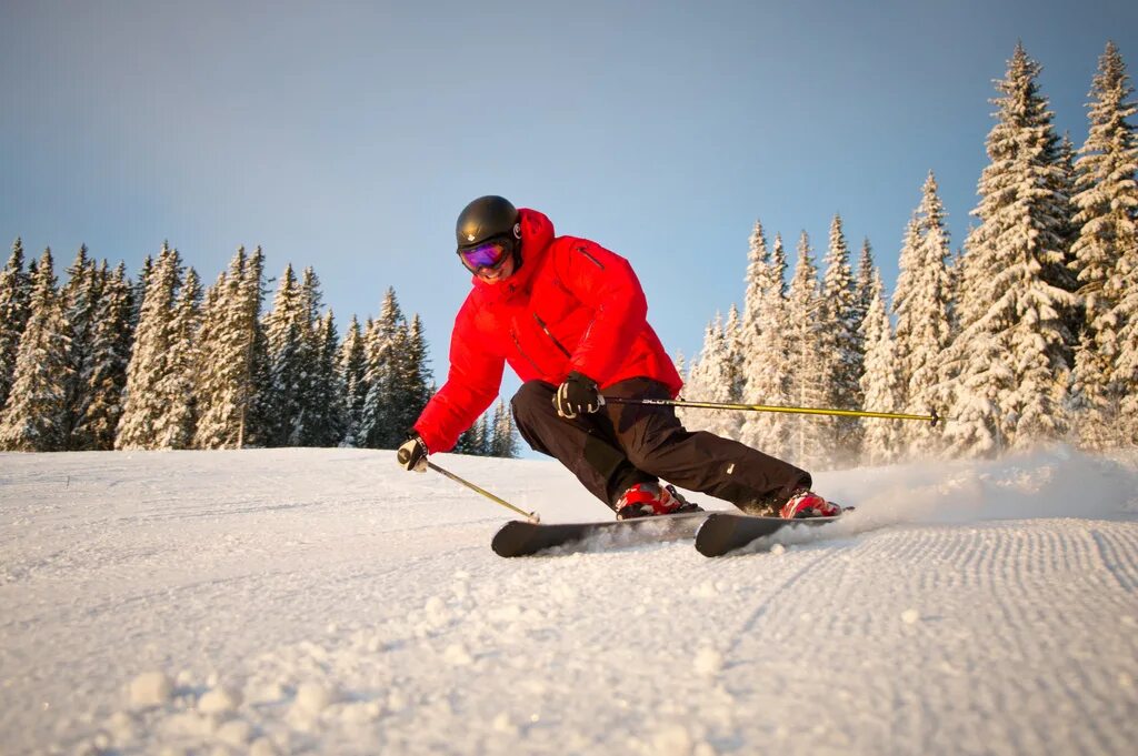 Лыжи. Горные лыжи в снегу. Мужчина на лыжах в лесу. Лыжи фото. Did he ski