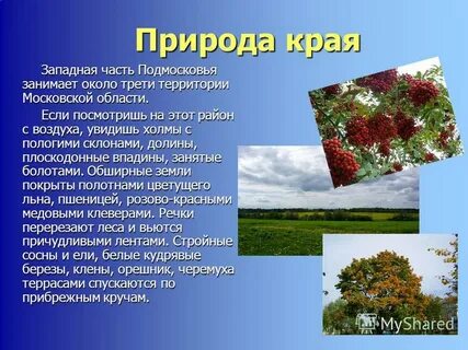 Подмосковье сообщение
