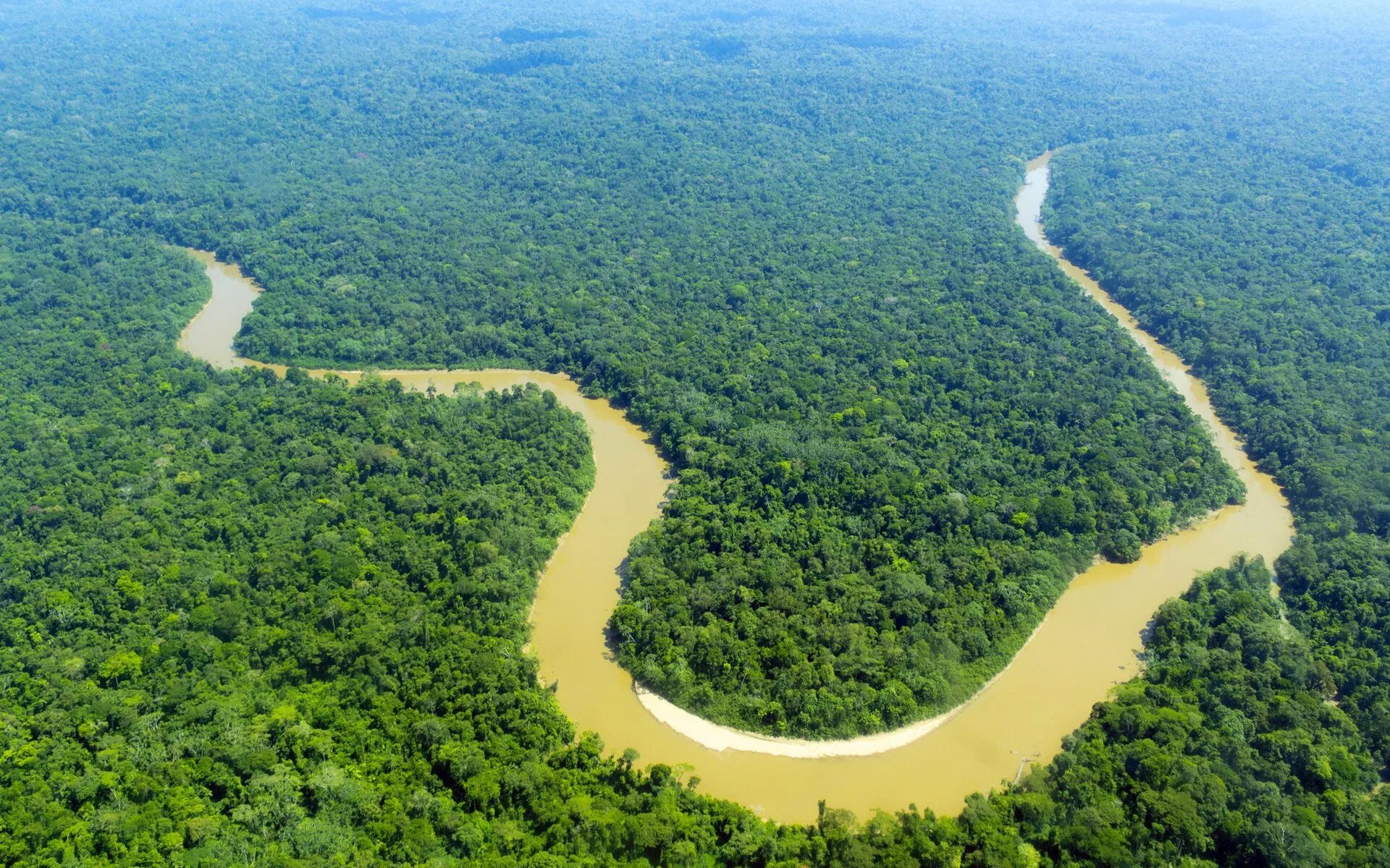 Selva lapiedra. Амазония река Амазонка. Река Амазонка в Бразилии. Бразилия тропические леса Сельва. Амазонка река Укаяли.