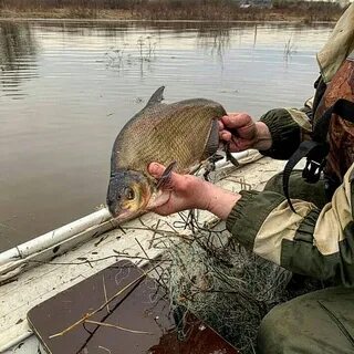Рыбалка на вятке