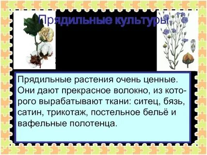 Прядильные растения 2 класс