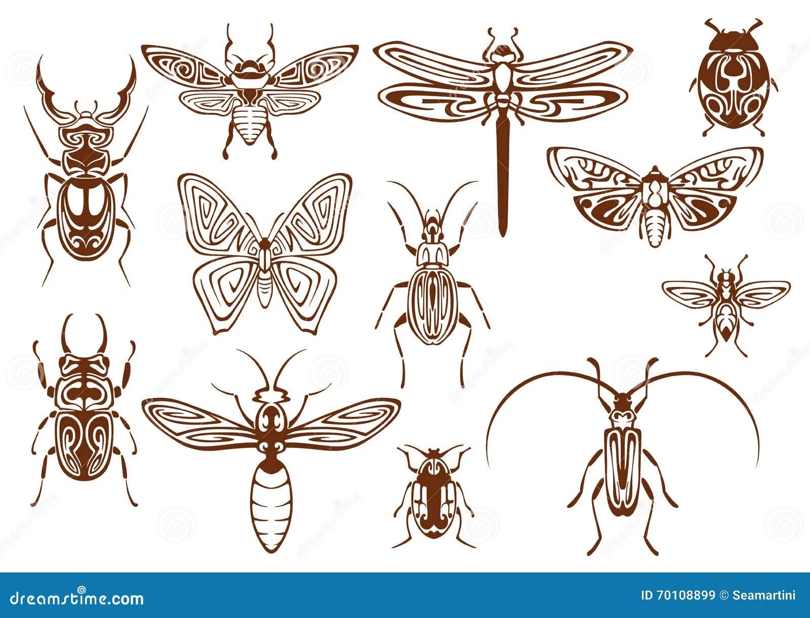 The insect tribe doesn t normally allow