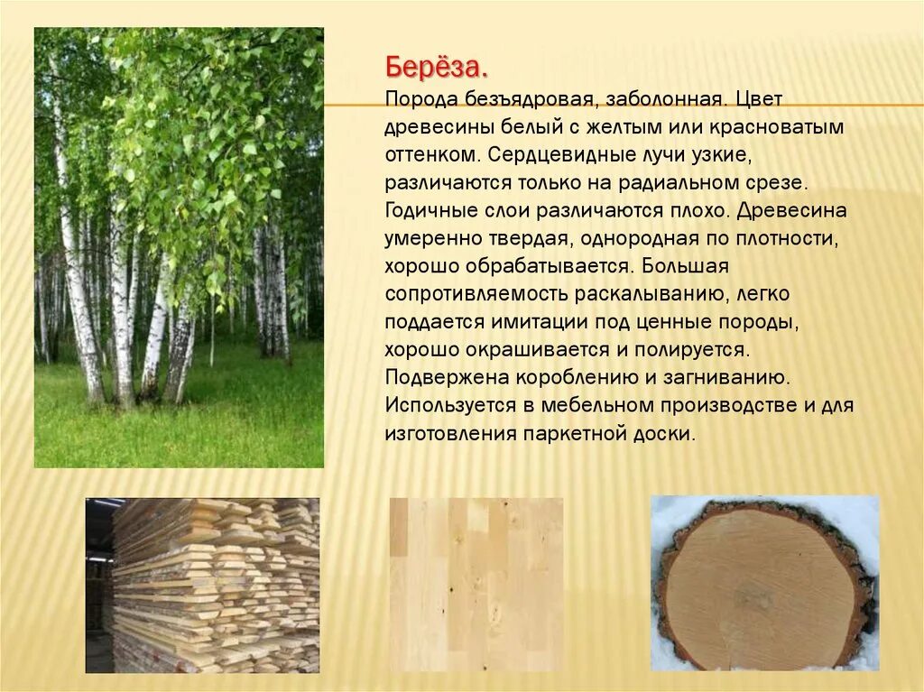 Где можно использовать древесину