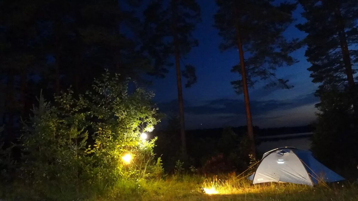 Темнота в палатке. Палатка в лесу. Палатка в лесу ночью. Вечер в палатке. Палатка у реки.