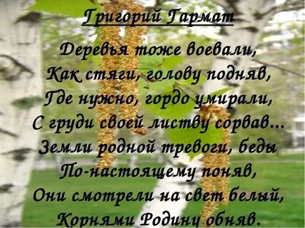 Деревья тоже болеют поэтому за ними необходим