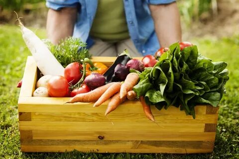Vegetable production