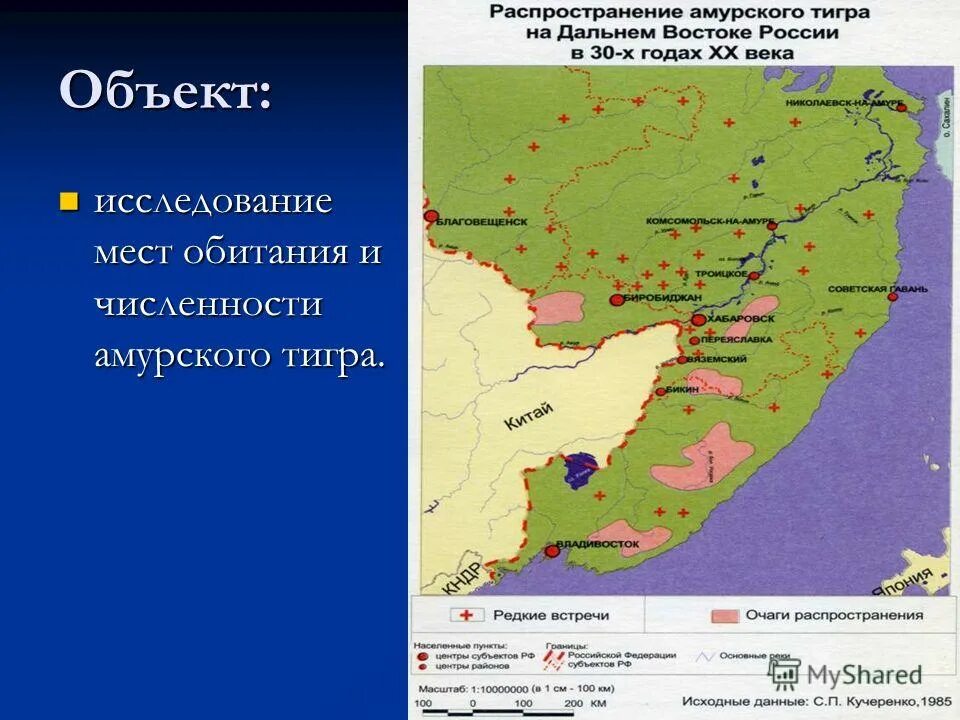 Ареал обитания Амурского тигра Приморский край. Карта ареала обитания Амурского тигра в Хабаровском крае. Ареалы обитания тигров в Приморском крае. Место обитания Амурского тигра в России. Карта амурский тигр