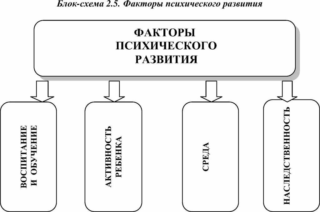 Факторы психического развития. Факторы психологического развития человека