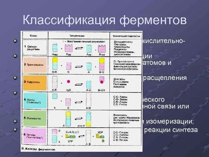 Химическая реакция катализируемая ферментом. Ферменты классификация ферментов биохимия. Классы ферментов и их реакции. Классификация и основные подклассы ферментов схемы реакций. Классы фермента Тип реакции.