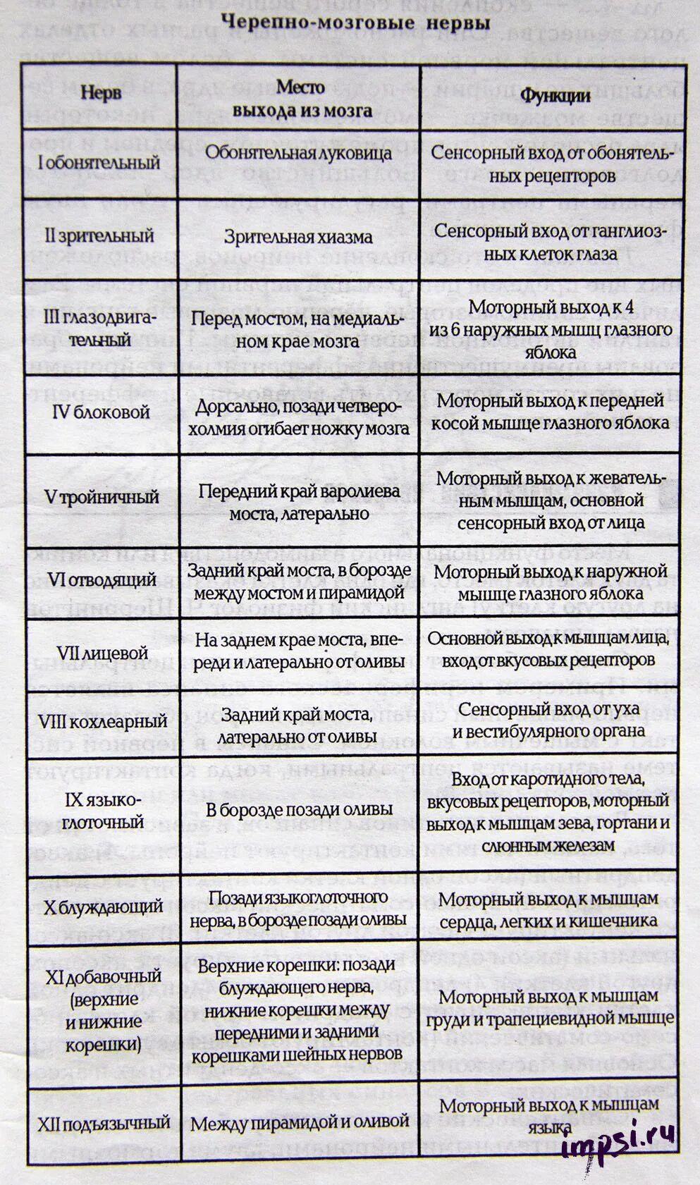 Количество нервов в головном мозге. Функции черепных нервов таблица. 12 Пар черепно мозговых нервов таблица функции. Функции ядер черепно мозговых нервов таблица. 12 Пар черепно мозговых нервов таблица ядра.