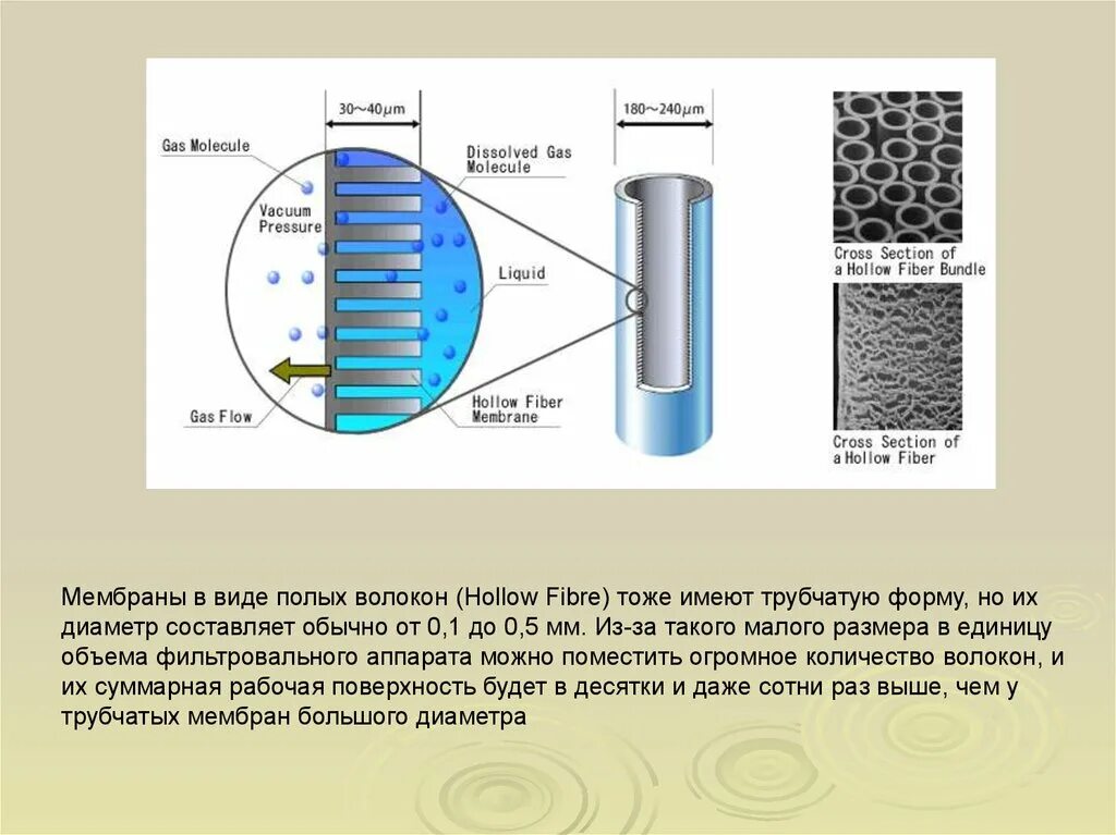 Диаметр мембраны. Мембраны в виде полых волокон. Мембраны типа полое волокно. Аппарат с мембранами в виде полых волокон. Мембраны из полого волокна.