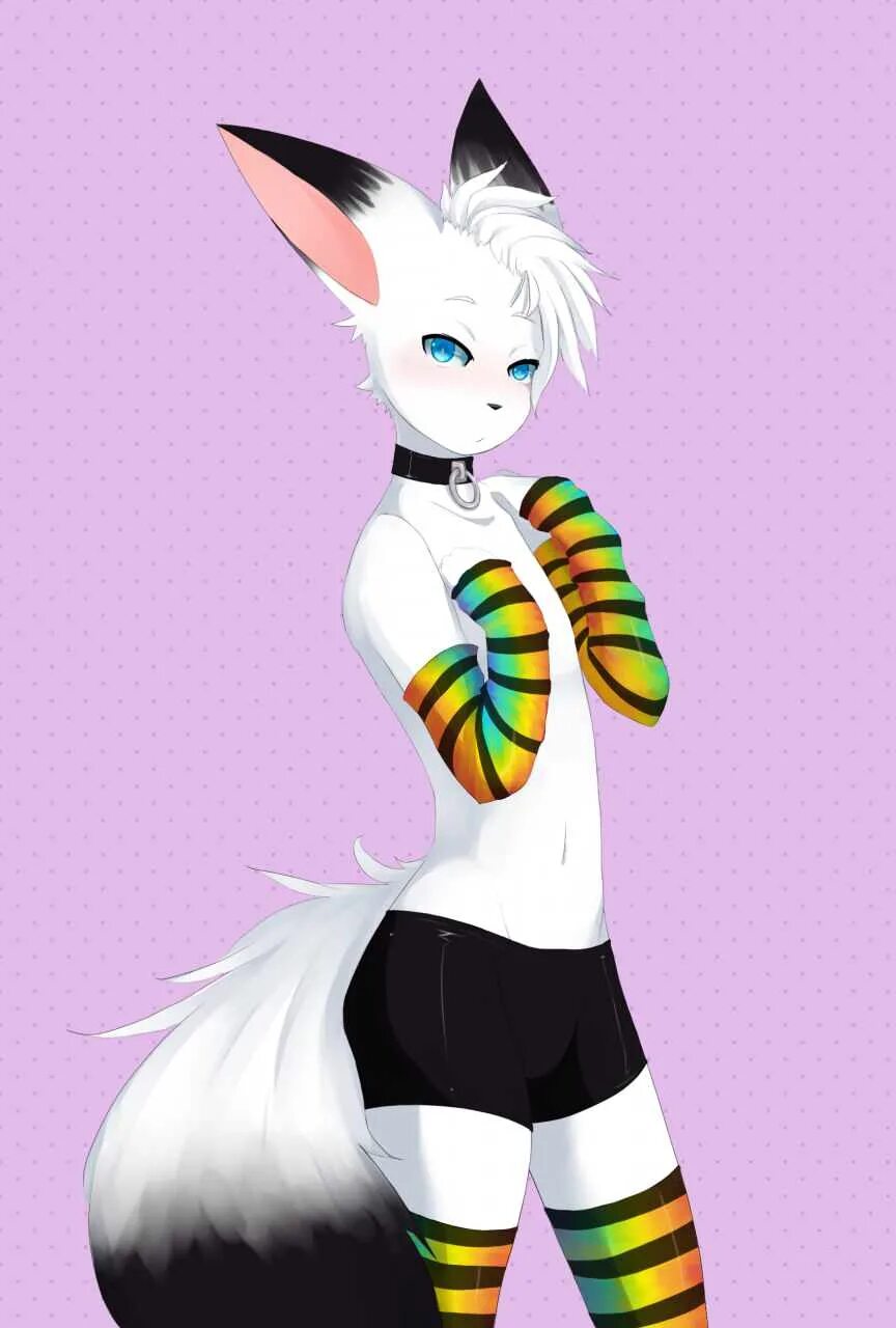 Фурри фембой. Фембой Фокс. Furry фембой. Лисик фембой. Femboy fox