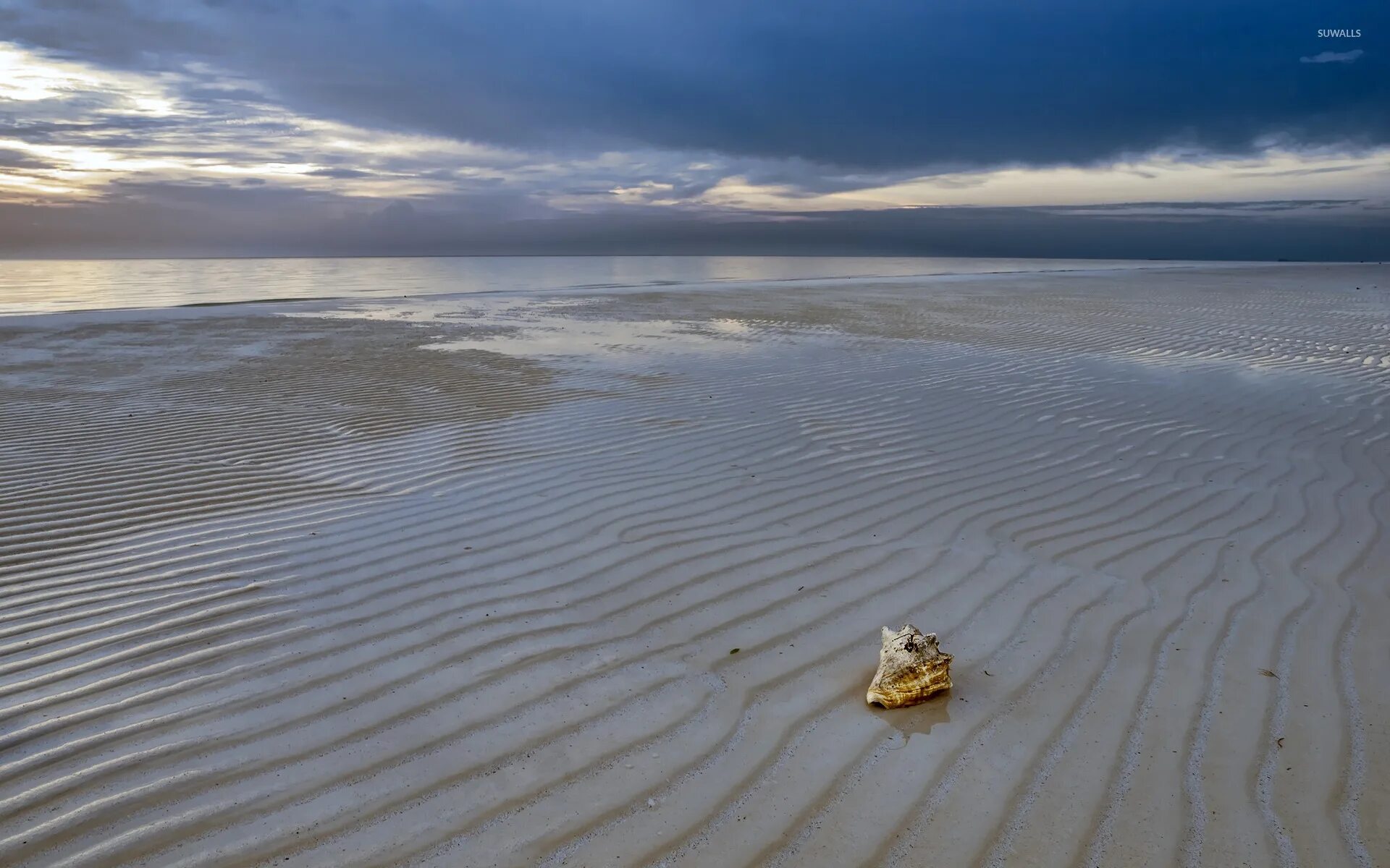 Отлив воды в океане. Отлив моря. Море мелководье. Отлив морской. Морской песок.