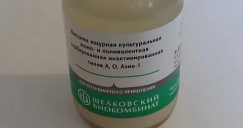 Вакцина от ящура крс инструкция