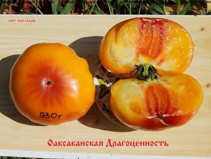 Томаты драгоценность