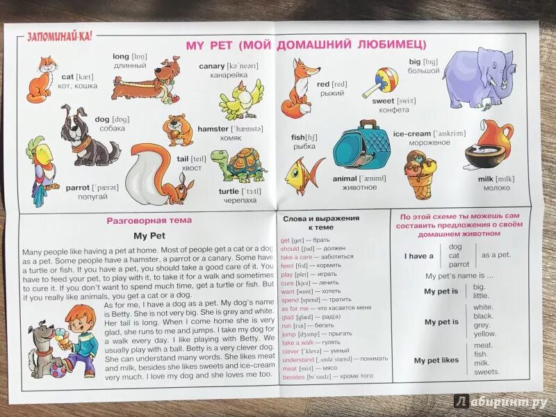 Написать питомца по английскому. Проект my Pet 2 класс по английскому языку. Мой питомец тема на английском. Мой питомец на английском. Рассказ по английскому.