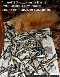 Ну поймаю