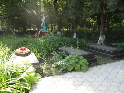 Старовеличковская краснодарского