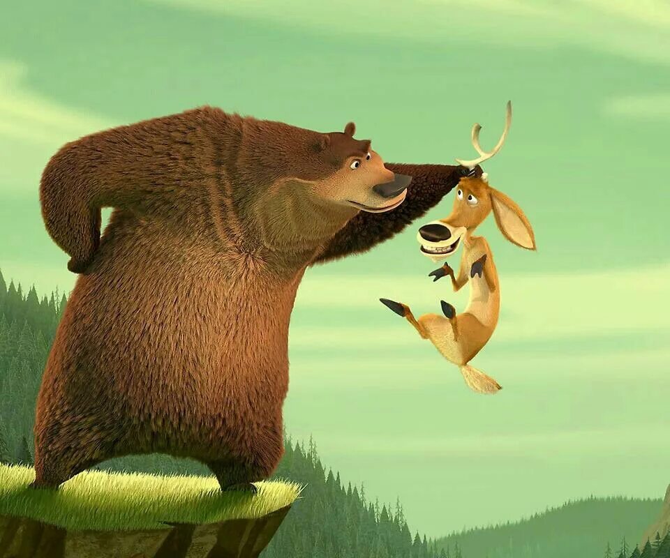 The fox and the bear. Лось Эллиот. Медведь бук и олень Элиот.