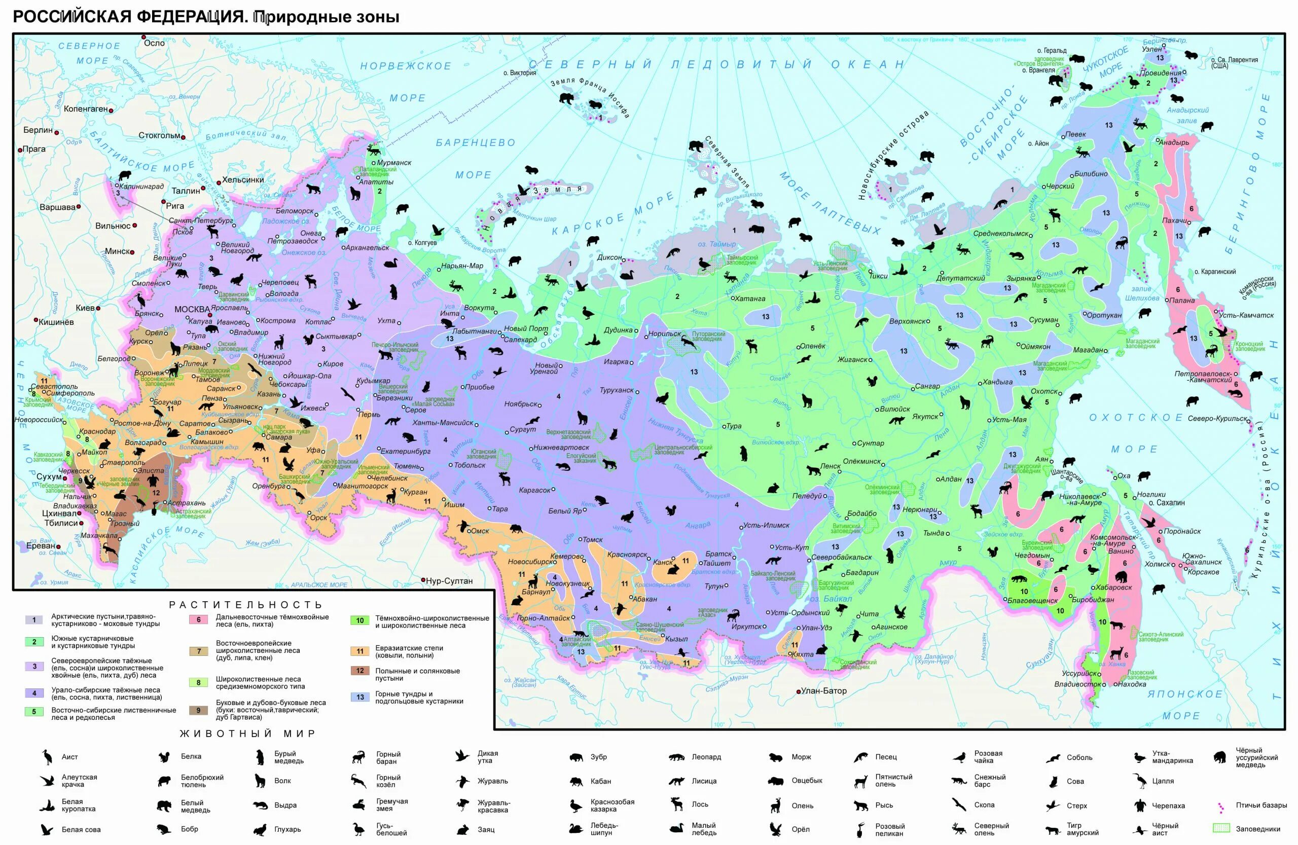 Природно хозяйственные зоны россии на карте цдз