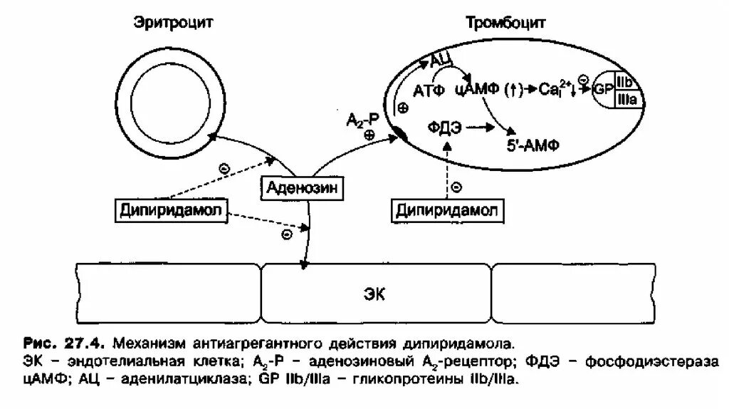 Адф тромбоцитов
