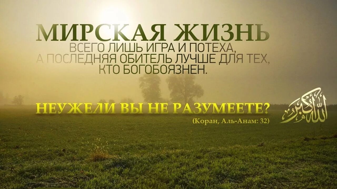 Пророк мухаммад аяты