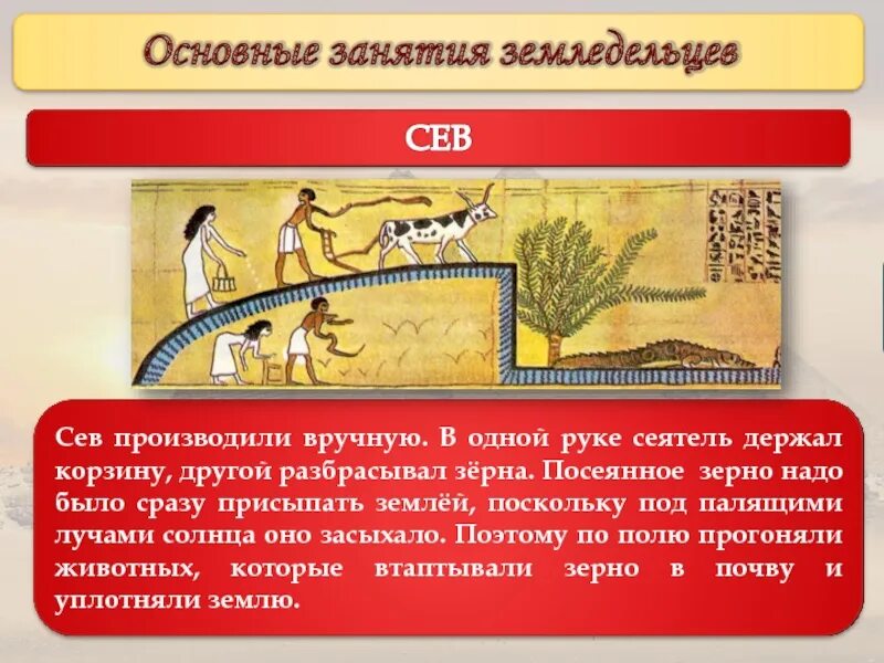 Что думает о солнце земледелец. Труд земледельников в древнем египте. Жизнь земледельца в древнем египте 5. Крестьяне сеют пшеницу. Земледелец о солнце.