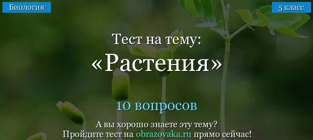 Я спасаюсь от цветка испытаний 24. Тест на тему растения. Испытания растений. Тест растения 5 класс биология. Видеоурок растения 5 класс биология.