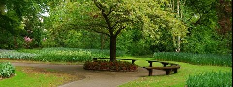 Spring path