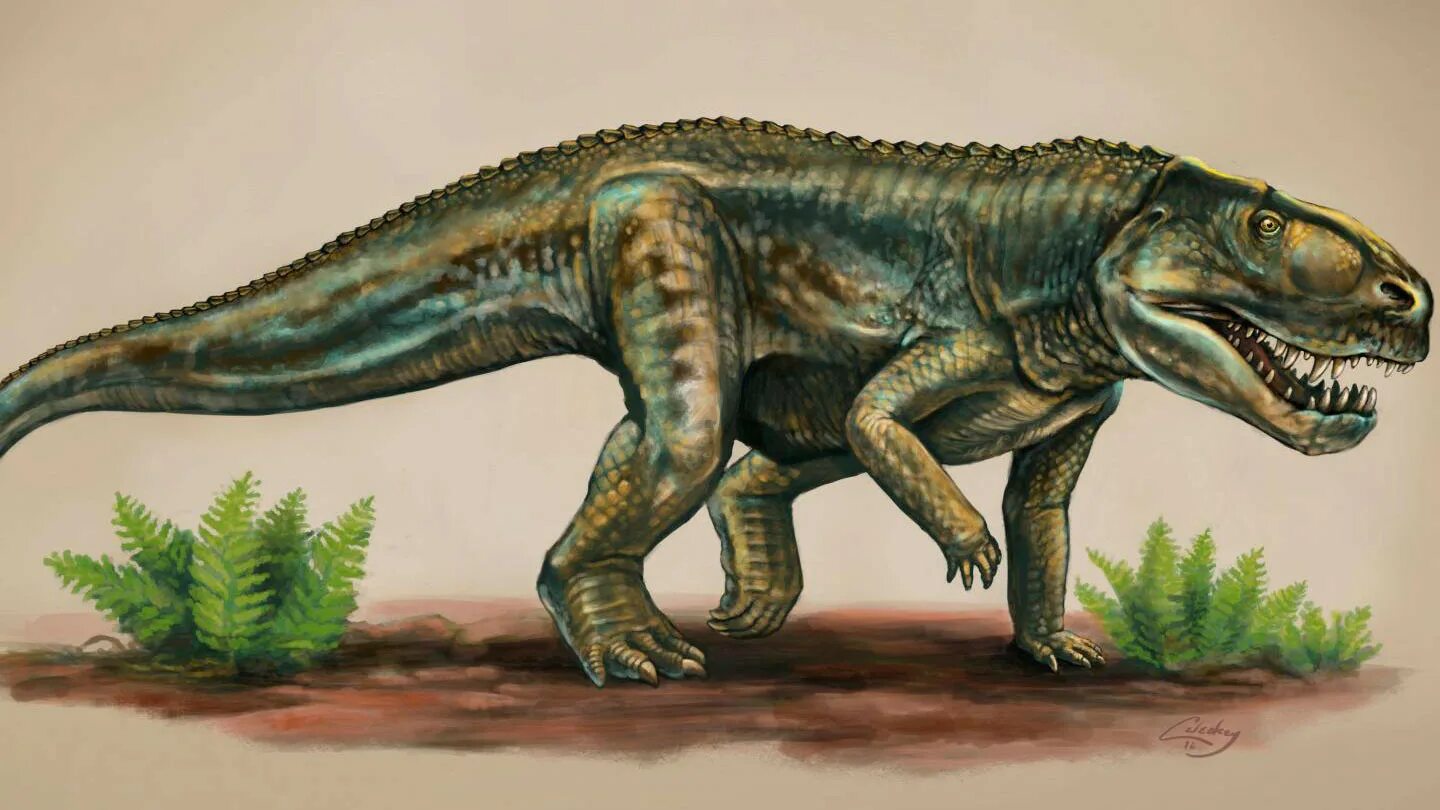 Архозавры мезозой. Архозавры предки крокодил. Архозавры Триасового периода. Равизухии Триасового периода.