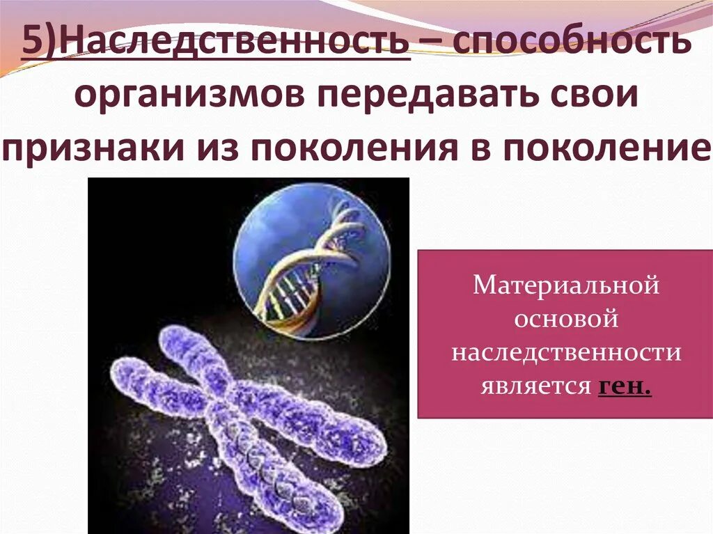 Наследственность. Материальные основы наследственности. Материальная основа наследственности бактерий. Биологическая наследственность. Информация о наследственных признаках