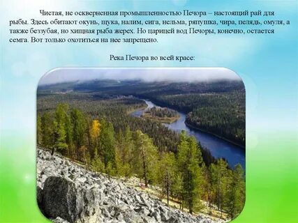 Крупные города реки печора