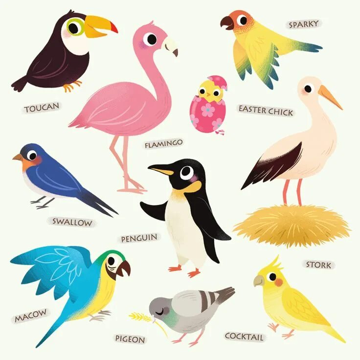 Birds children weather. Bird for Kids. Domestic Birds for Kids. Bird illustration Kids. Applications for children Birds шаблон.