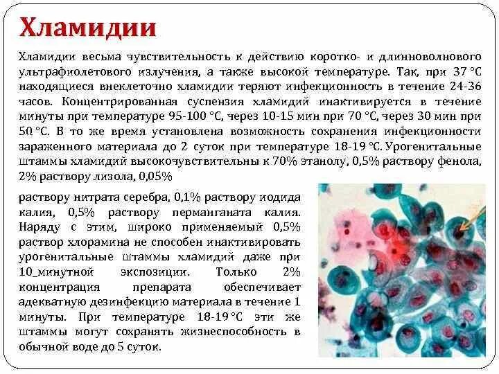 Хламидиоз почему. Хламидий микробиология. Хламидии препарат микробиология. Хламидии восприимчивость к красителям. Хламидии характеризуются.