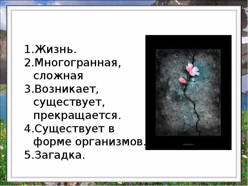 Жизнь многогранна. Многогранность жизни человека. Жизнь она многогранна. Жизнь многогранна картинки.