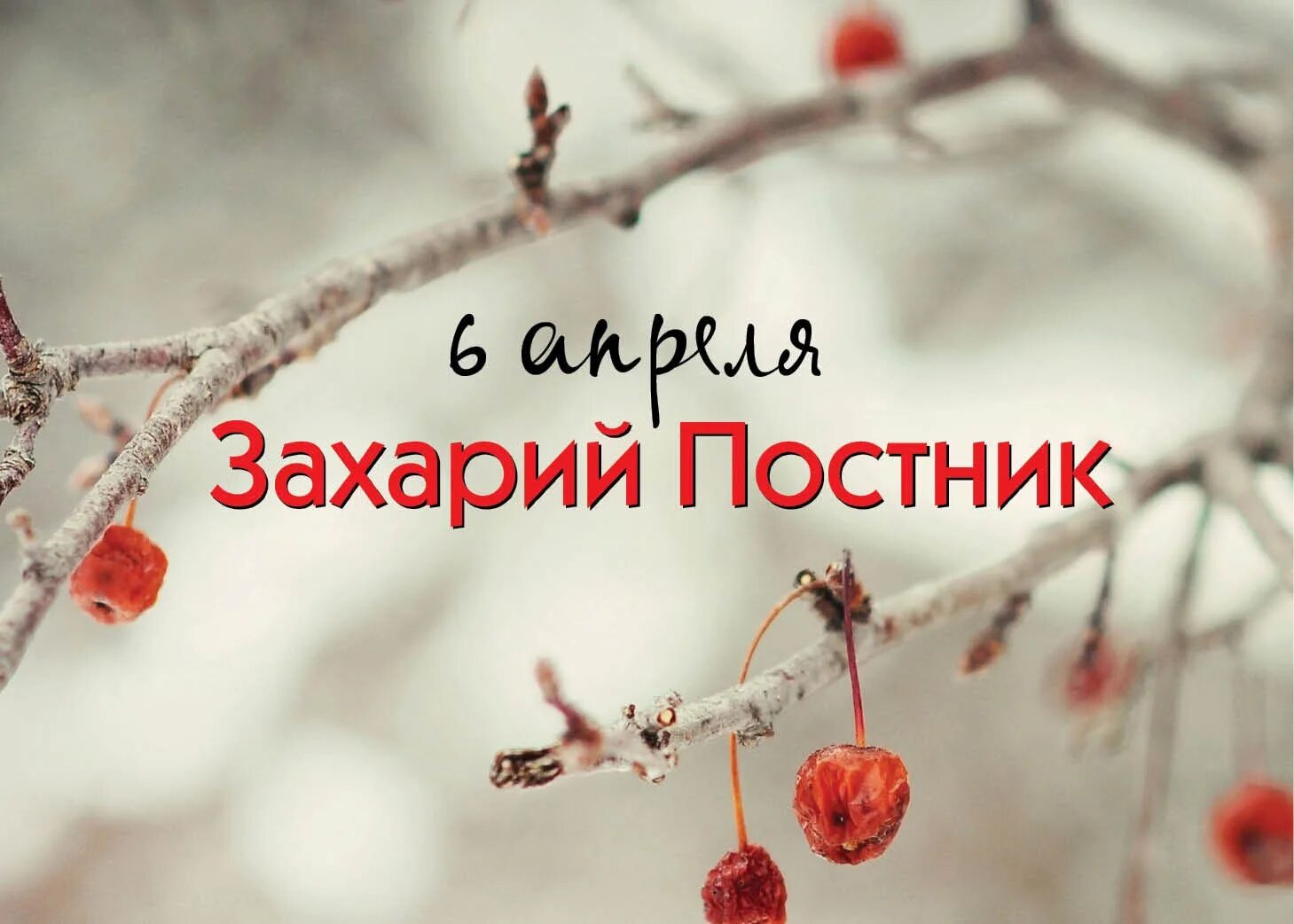 Какой сегодня праздник 06.04. Народный праздник Артемон – дери полоз. 6 Апреля народный календарь. Артемон дери полоз 6 апреля. Народный календарь 6 апреля Захарий.