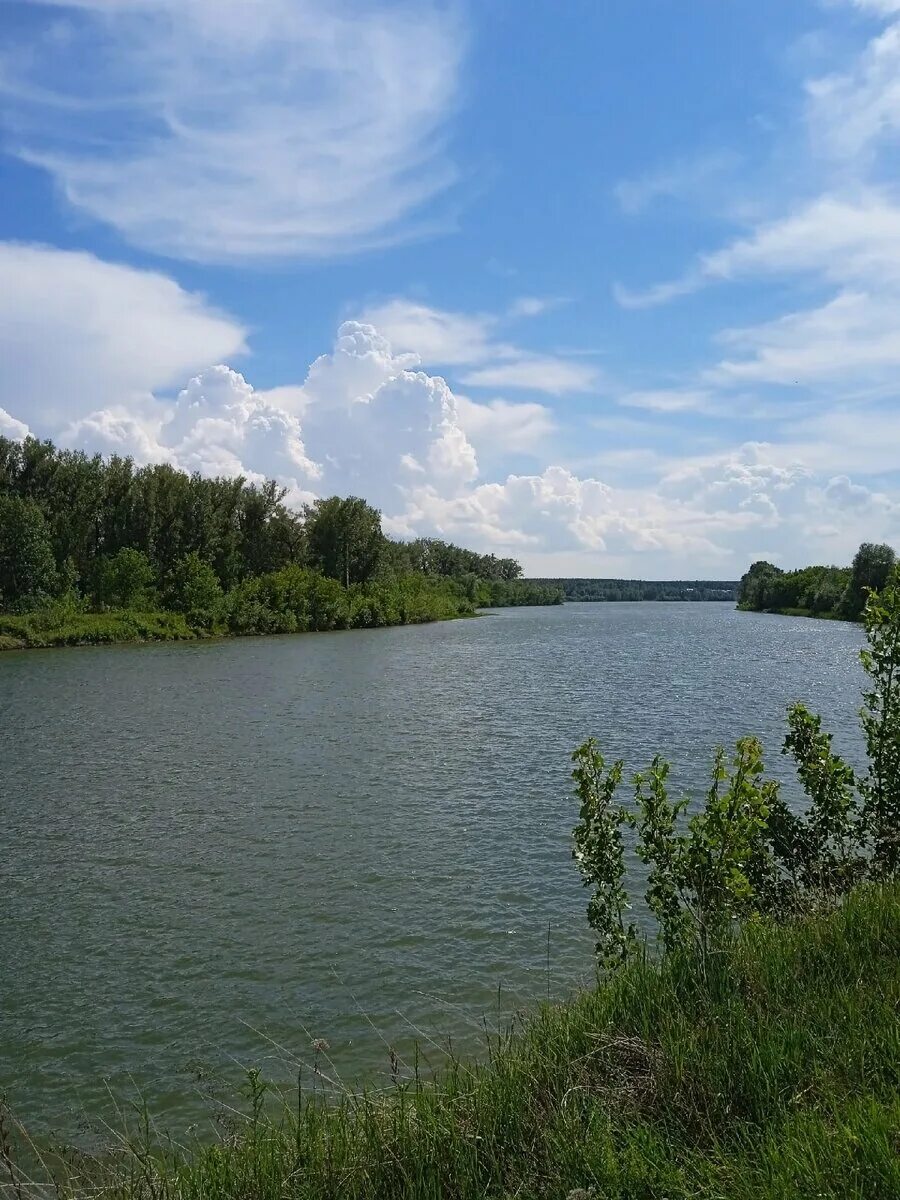 Река мать вод. Чумыш Алтайский край. Река Чумыш. Река Чумыш Алтайский край. Чумыш Кемеровская область.