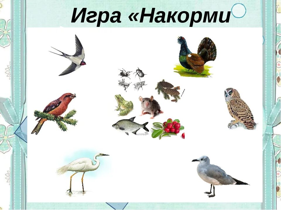 Птицы подготовительная группа. Перелетные птицы. Перелетные птицы для дошкольников. Птицы для детей средней группы.
