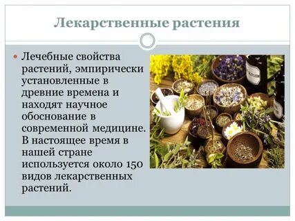 Растения и их история