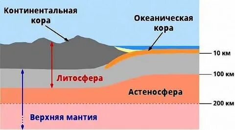 Чем отличаются земные коры